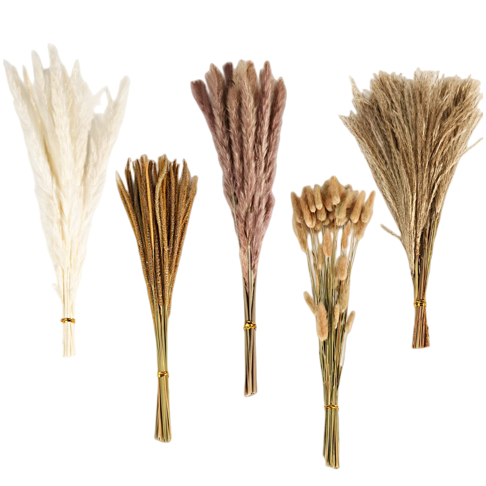 Florist Supply Vases - 가을 빈티지 믹스 드라이플라워 부케, 팜파스그래스,