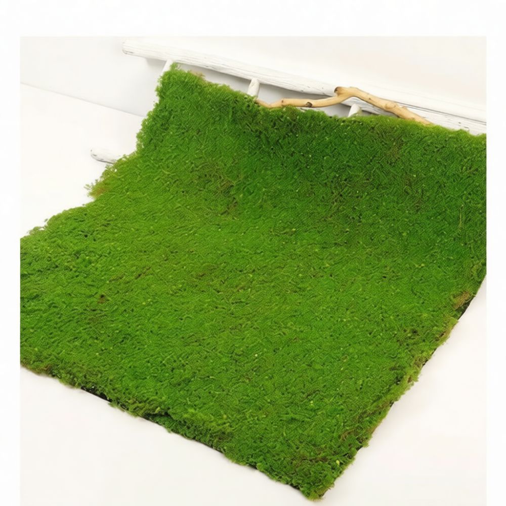 인조 이끼 잔디 매트, 실내 정원 장식용 인조 녹색 잔 - Preserved Moss Sheet 리뷰 및 가격